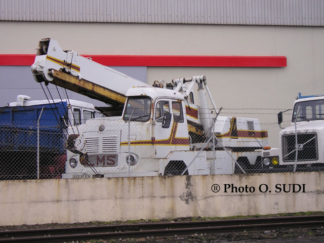 Grue-007a.jpg