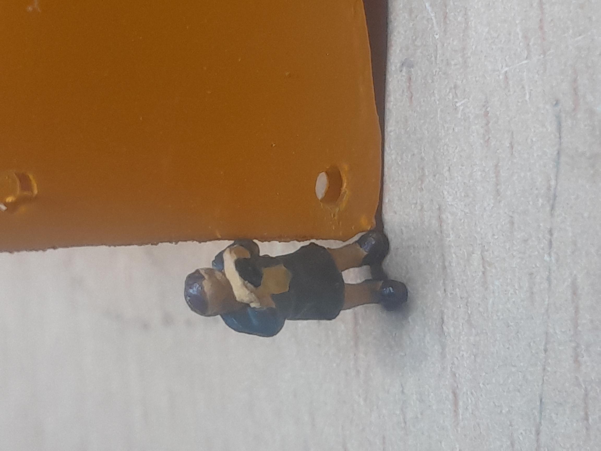 20260811_182910.jpg