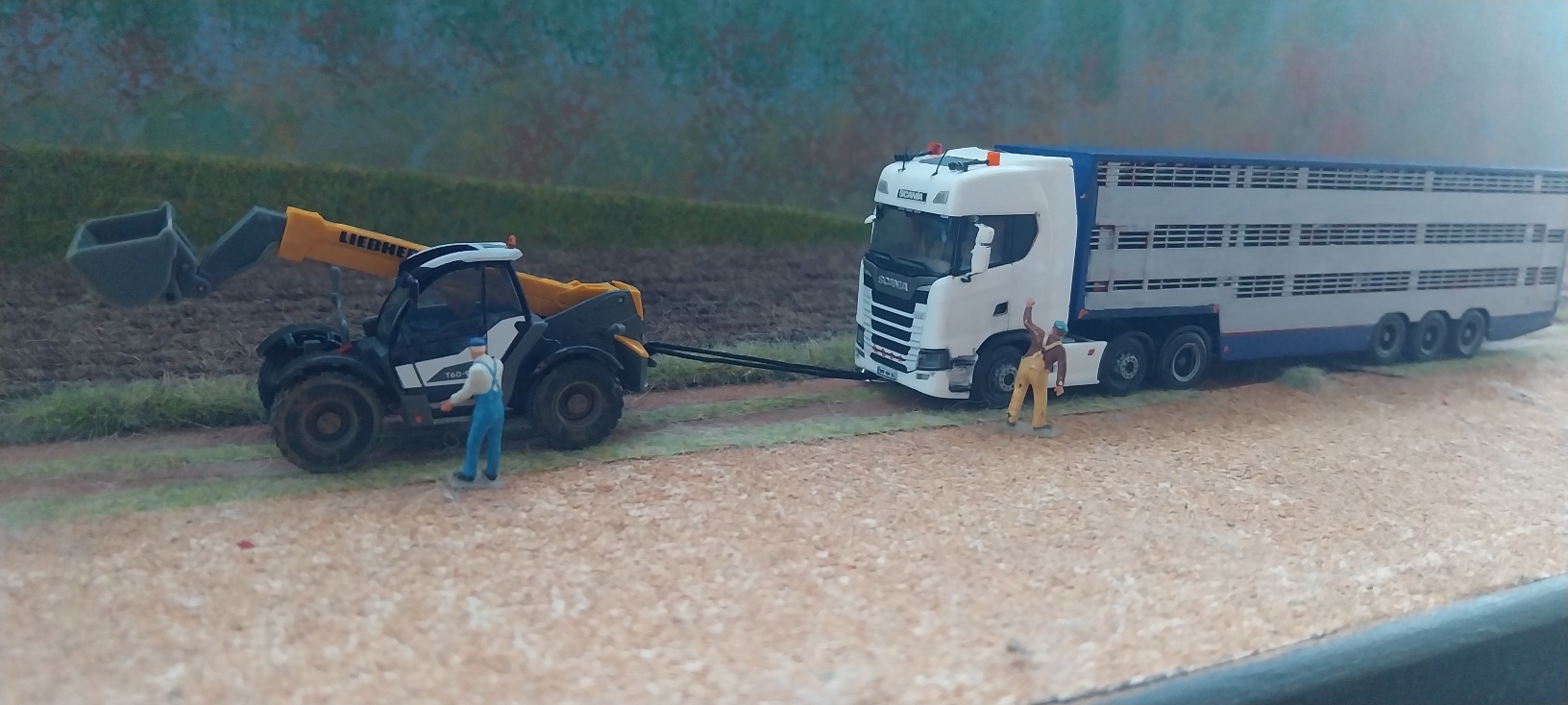 20261022_171925.jpg