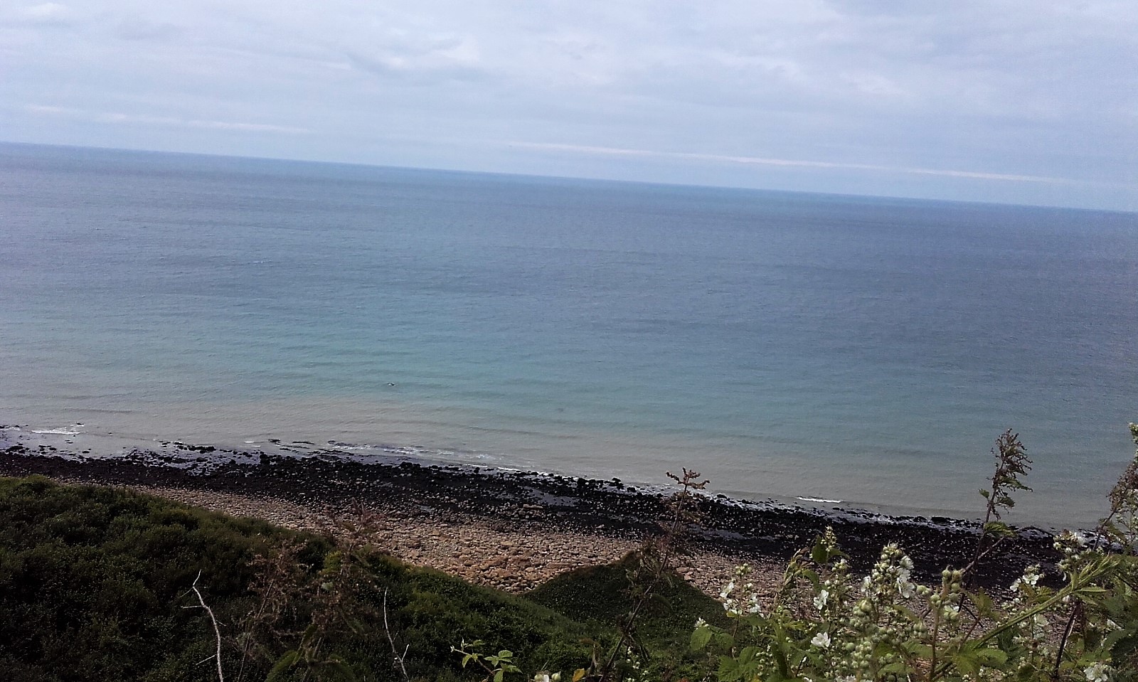 20170624_164928.jpg