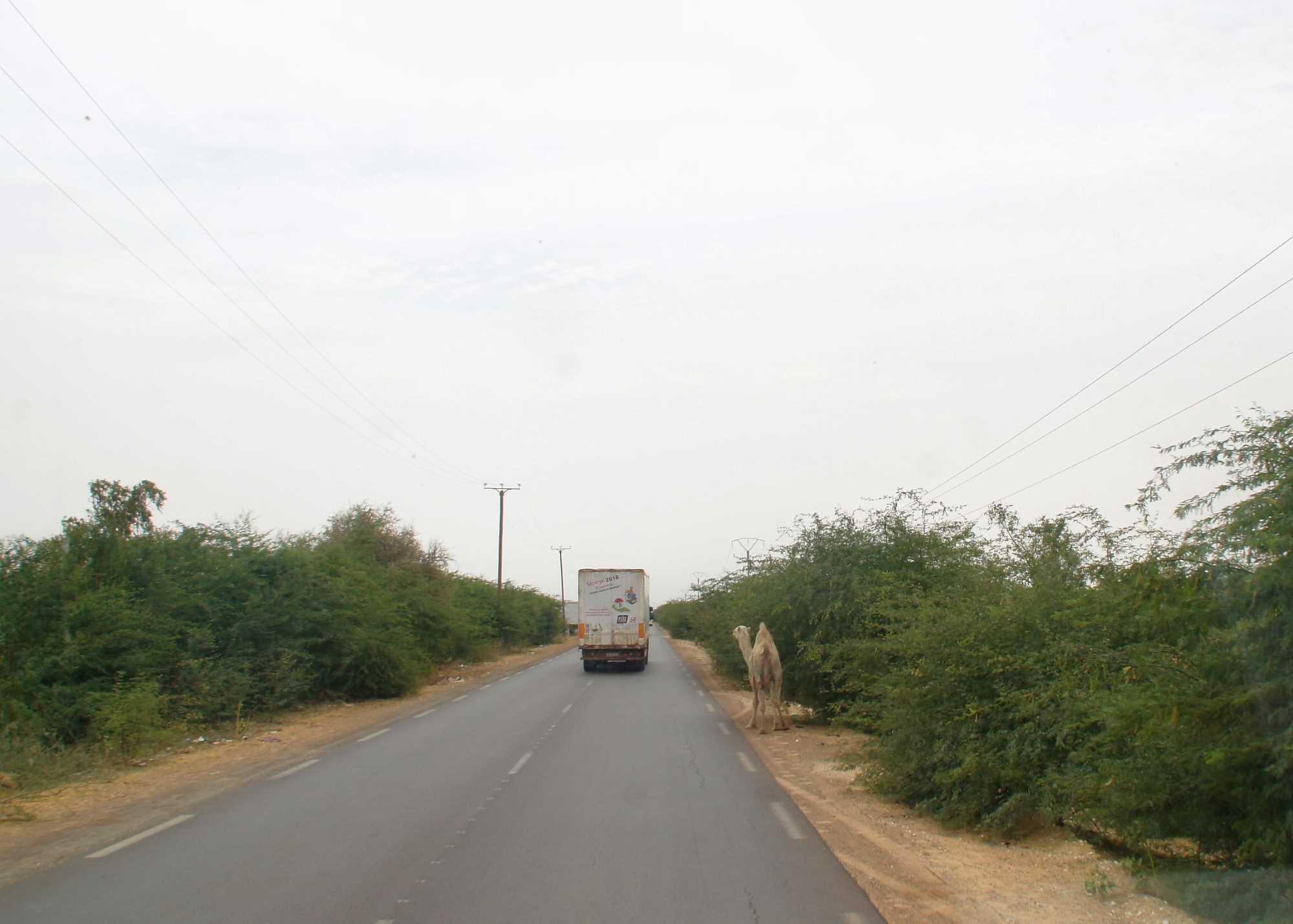 DSC09947.jpg