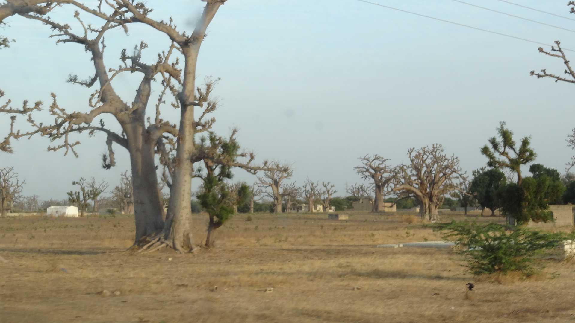 DSC03106.JPG