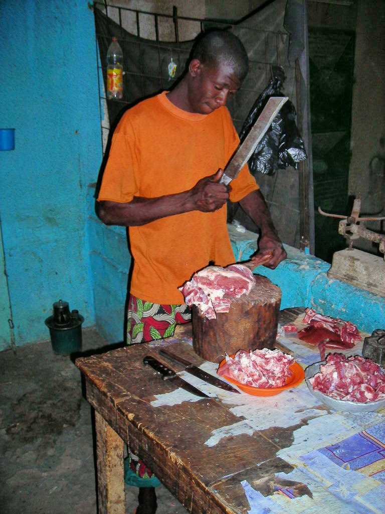 Marabou sénégal 013.jpg