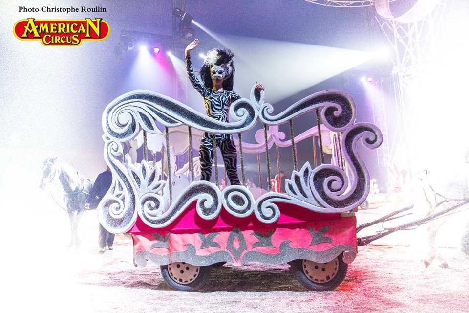 char american 2019.jpg