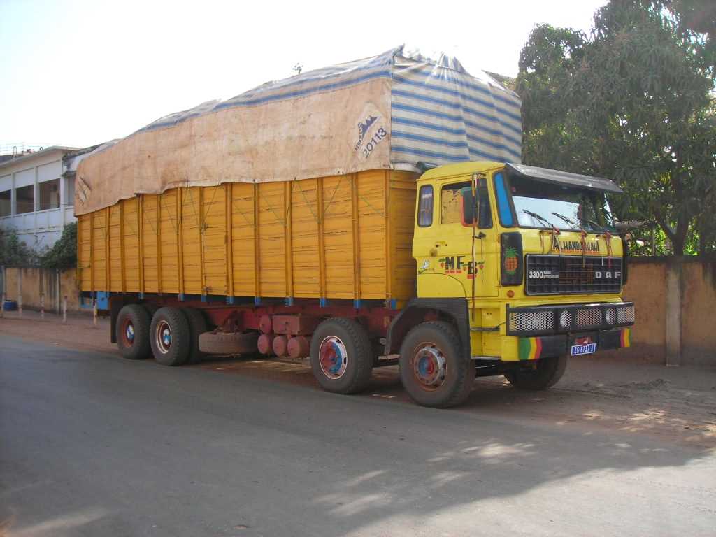C Daf.JPG