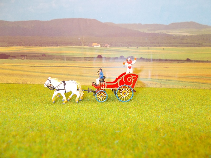 DSCN0206 - Copie.JPG